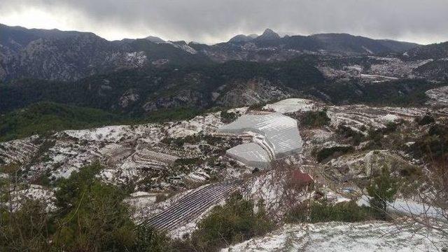 Anamur’da Gündüz Kar Yağışı, Akşam Da Seralarda Don Telaşı Yaşanıyor