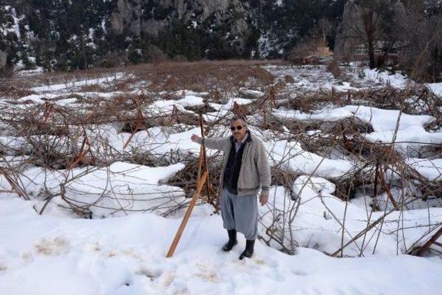 Mersin'de Çiftçiyi Selden Sonra Kar Vurdu