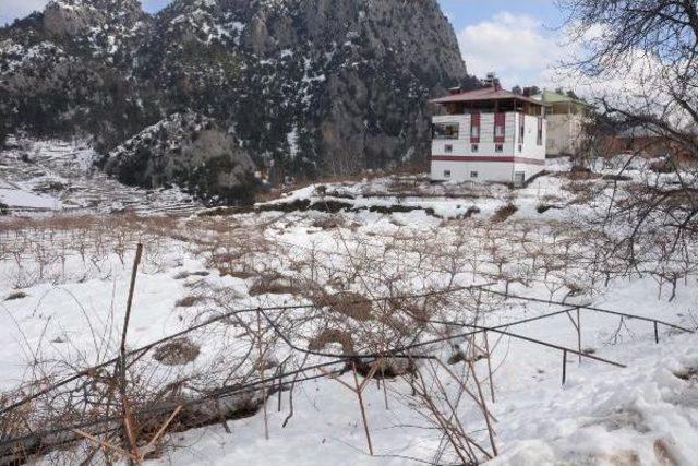 Mersin'de Çiftçiyi Selden Sonra Kar Vurdu