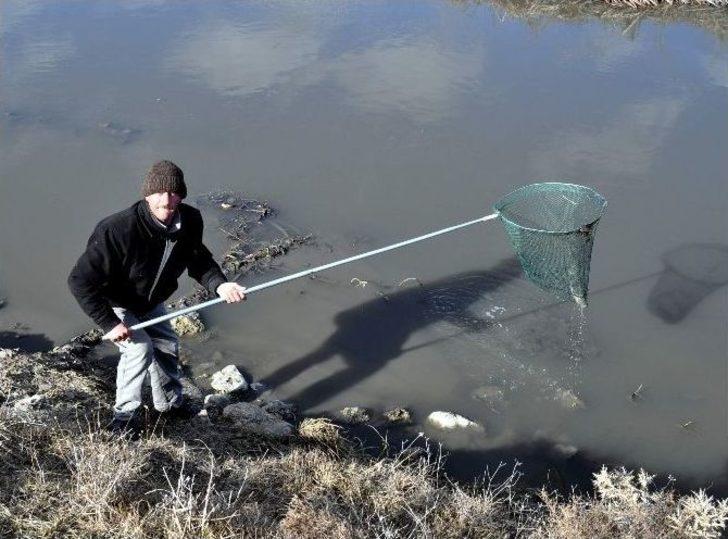 Balık Ölümlerinin Devam Etmesi Endişeyi Arttırıyor G1