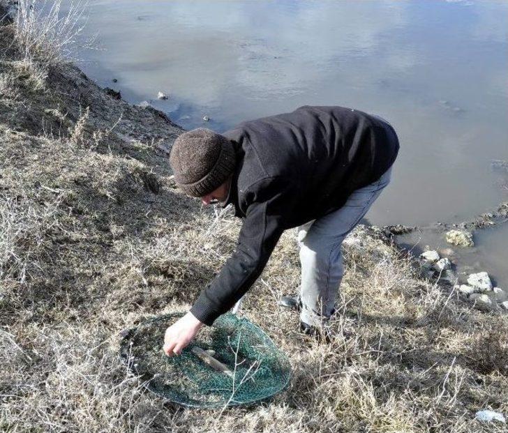 Balık Ölümlerinin Devam Etmesi Endişeyi Arttırıyor G2