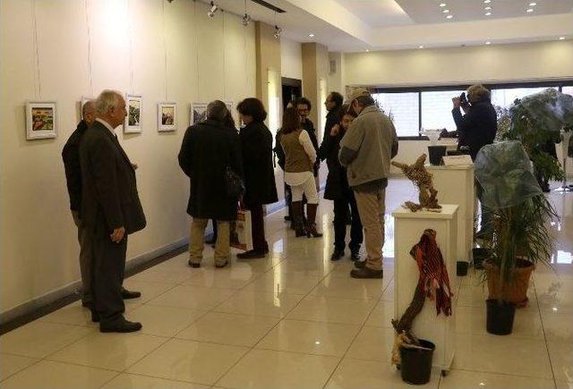 Minyatür Sanatçı Dalkılıç, 25’nci Kişisel Sergisini Açtı