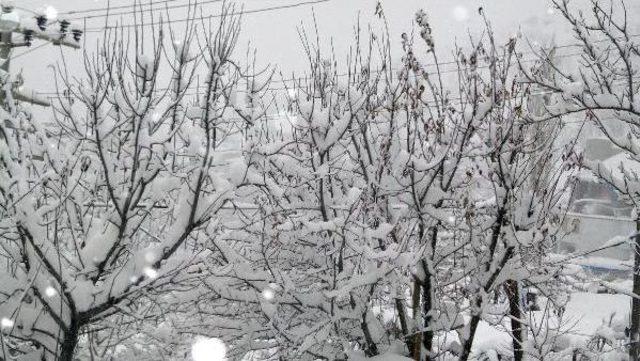 Beytüşşebap'ta Tüm Köy Yolları Kardan Kapandı