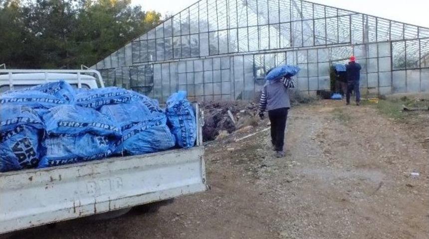 Seralara Kamyon Kamyon K&ouml;m&uuml;r Taşıyorlar