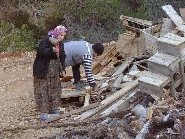 Seralara Kamyon Kamyon Kömür Taşıyorlar