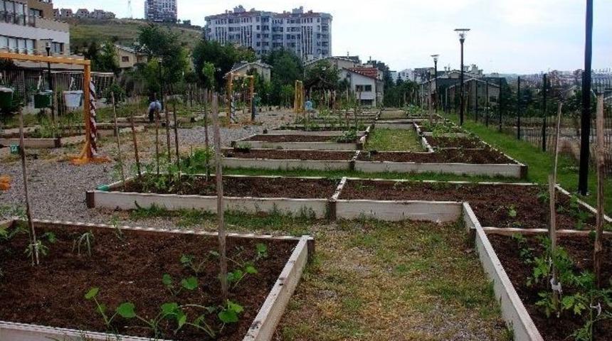 Kent Tarım Hobi Evi&rsquo;nde Yeni Eğitimler Şubat&rsquo;ta Başlıyor