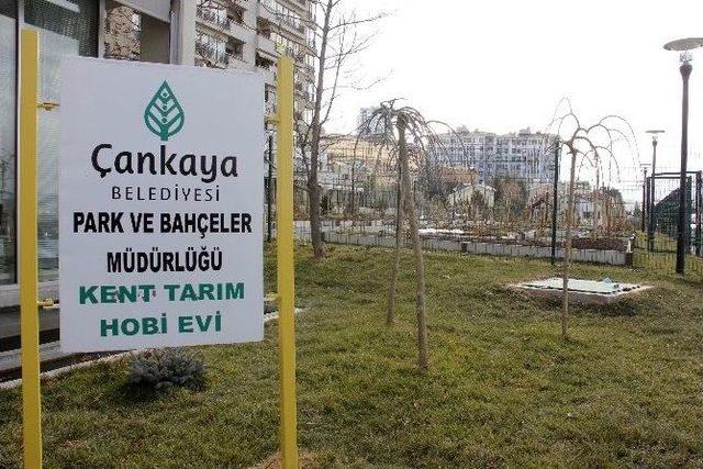 Kent Tarım Hobi Evi’nde Yeni Eğitimler Şubat’ta Başlıyor