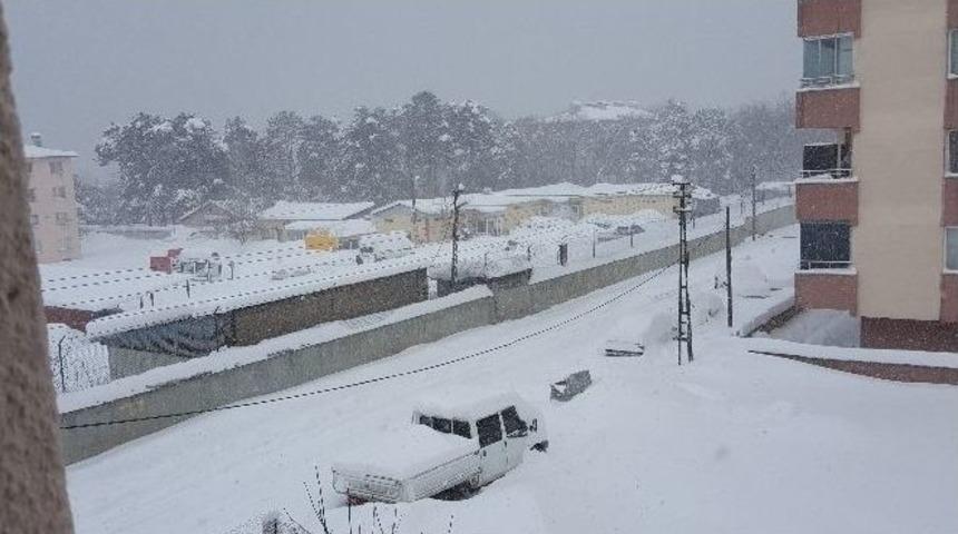 Tatvan’da Hayat Durma Noktasına Geldi