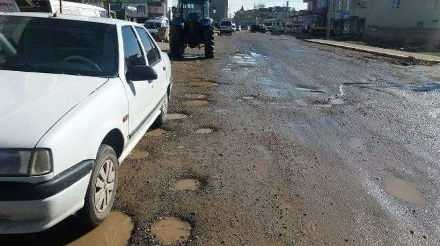 Caddeler K&ouml;stebek Yuvasına D&ouml;nd&uuml;