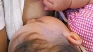 Melaminli Gıdalar Neden Tehlike Saçıyor?