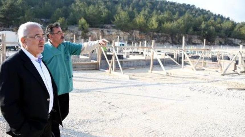 Mersin'de Sokak Hayvanlarına Otel Konforunda Barınak