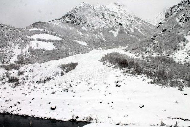 Beytüşşebap’ta Çığ Düştü