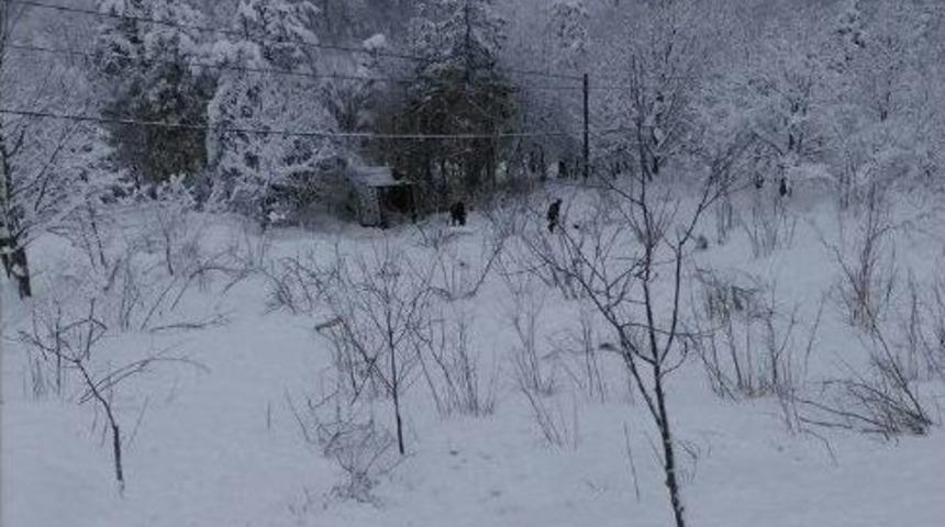 Sinop&rsquo;ta Otob&uuml;s Kazası: 1 Yaralı