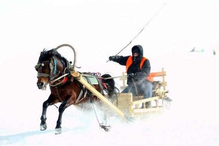 Uludağ’da Kızaklı At Yarışları Nefes Kesti, Snowboard Yarışları İlgiyle İzlendi G5