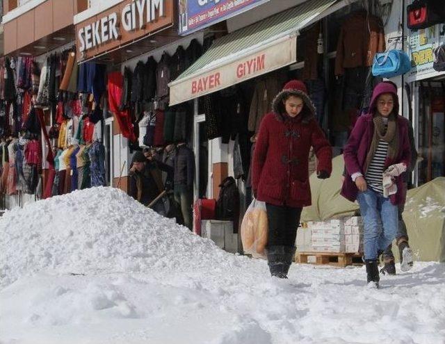 Başkale’de Kar Hayatı Felç Etti