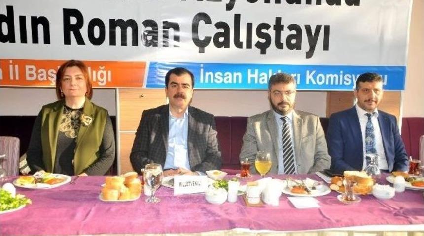 Aydın Ak Parti Romanlarla &Ccedil;alıştayda Bir Araya Geldi