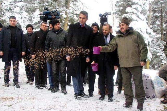 Bakan Eroğlu Yaban Hayvanlarına Yem Bıraktı, Göle Balık Saldı