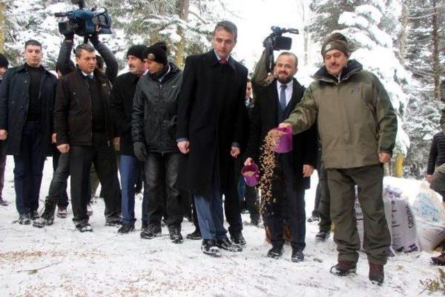 Bakan Eroğlu Yaban Hayvanlarına Yem Bıraktı, Göle Balık Saldı