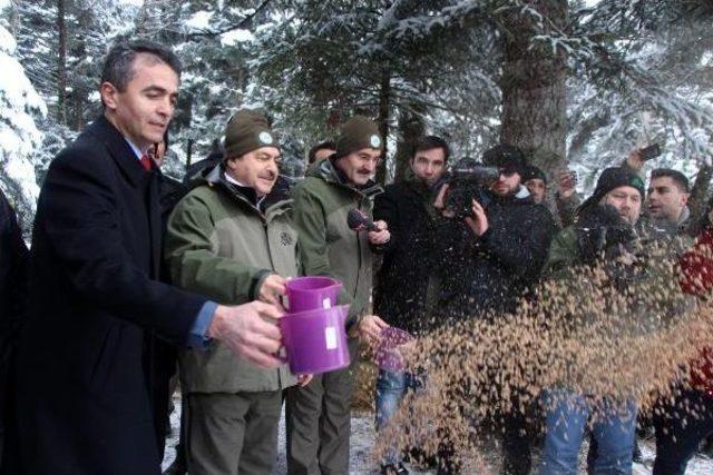 Bakan Eroğlu Yaban Hayvanlarına Yem Bıraktı, Göle Balık Saldı