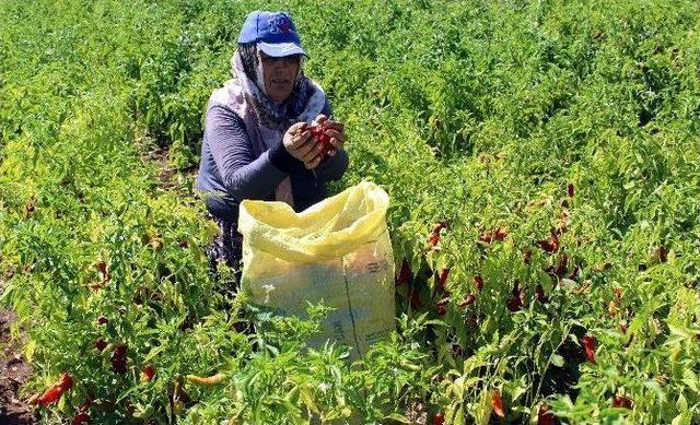 Vali Abdullah Erin’den Yıl Sonu Değerlendirmesi