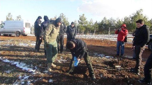 Toprağa Gömülen Köpek Leşi Polisi Alarma Geçirdi