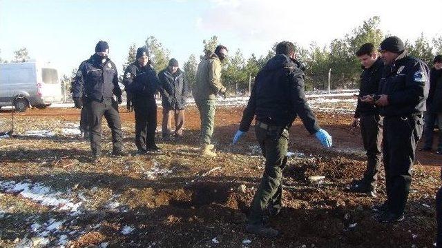 Toprağa Gömülen Köpek Leşi Polisi Alarma Geçirdi