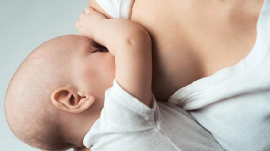 Mastitis Nedir?