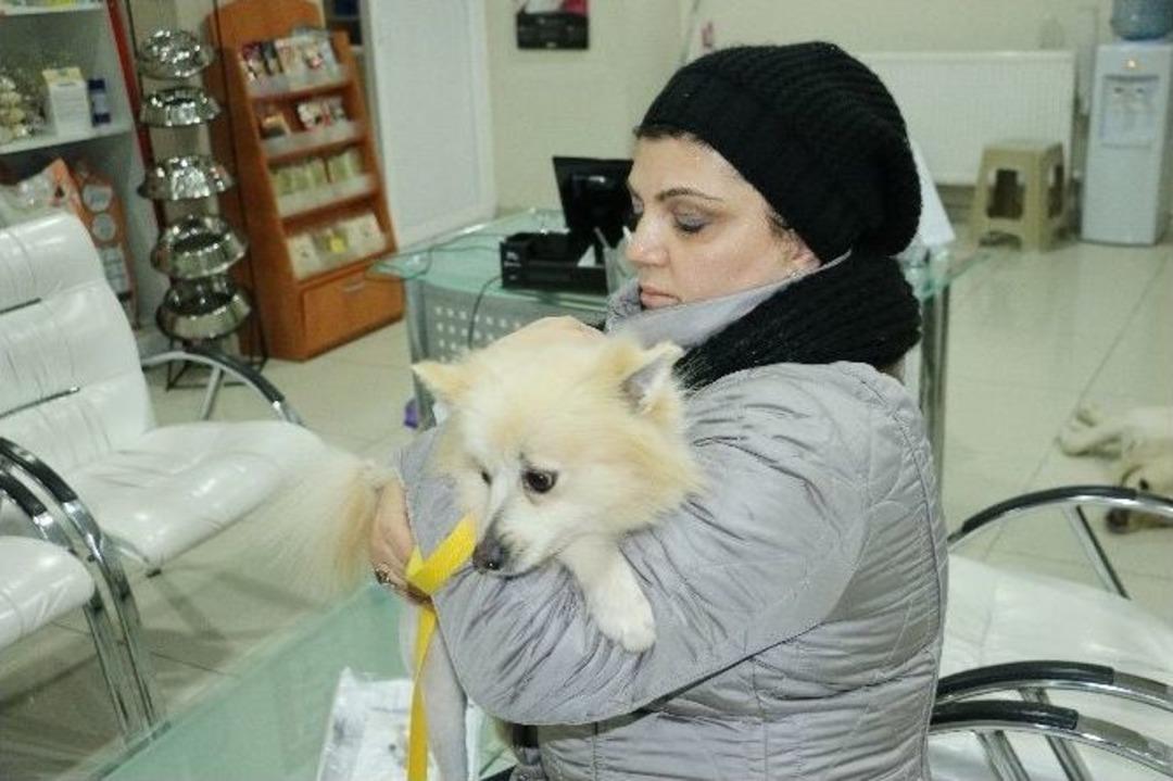 &Ccedil;aldıkları İddia Edilen K&ouml;peği Veterinere G&ouml;t&uuml;r&uuml;nce Polise Yakalandılar