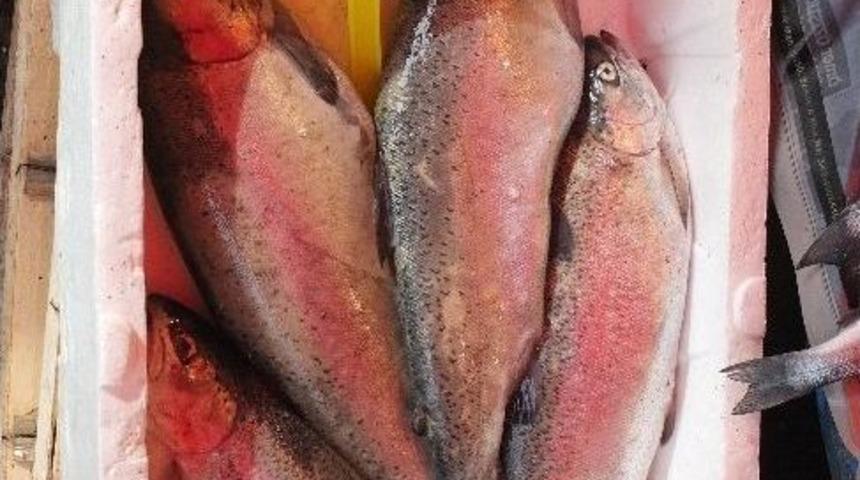 (&ouml;zel Haber) Kur Artışı Fiyatını İki Katına &Ccedil;ıkardı, İmdada Yerlisi Yetişti