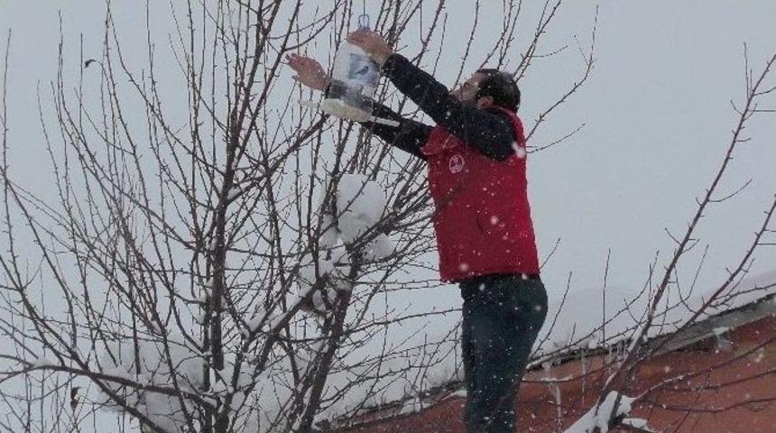 Gen&ccedil;lik Liderleri Sokak Hayvanlarına Yem Bıraktı