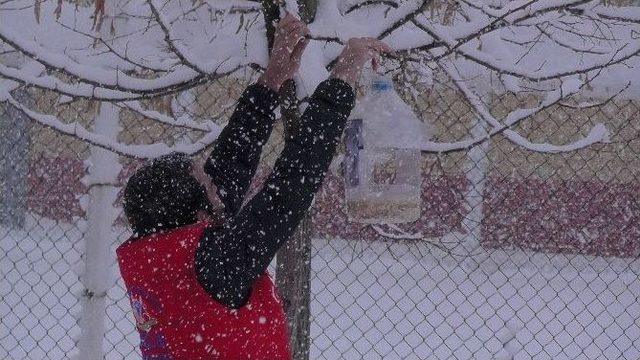 Gençlik Liderleri Sokak Hayvanlarına Yem Bıraktı