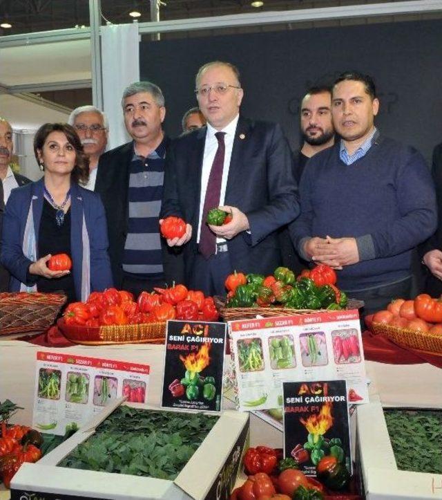 Milletvekili Koçer Gaptarım Ve Gapfood Fuarı’nda