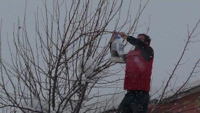 Gençlik Liderleri Sokak Hayvanları Için Harekete Geçti