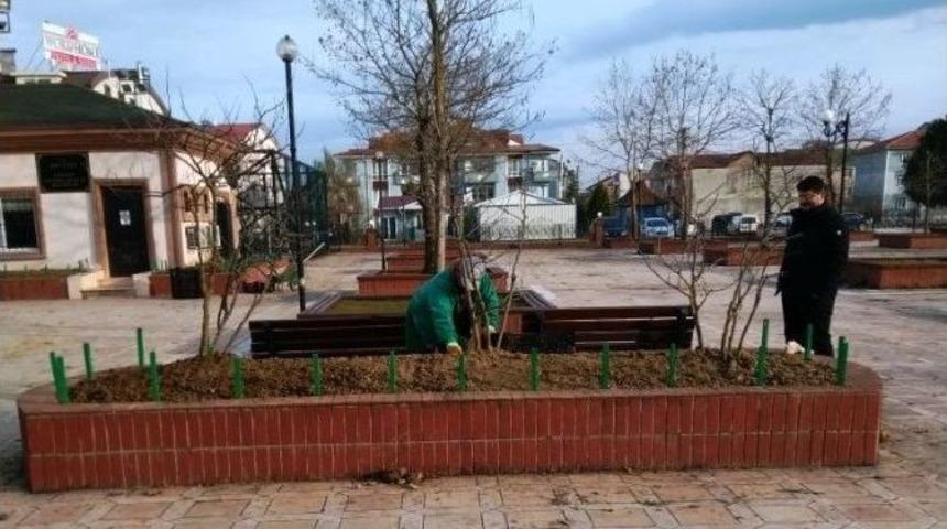 Alikahya&rsquo;ya 10 Bin Lale Dikildi