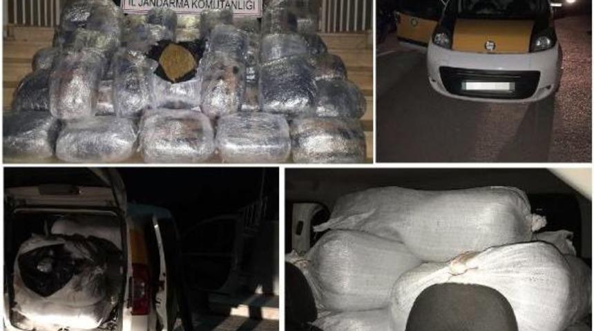 Diyarbakır'da 2016 Yılında 1 Milyon Kişinin Gbt Sorgusu Yapıldı