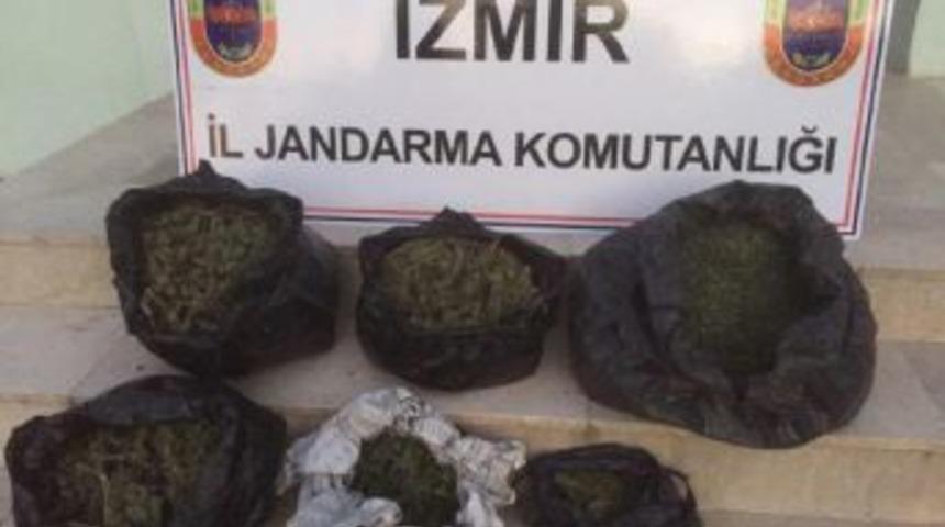 İki Evinde Toplam 4 Kilo 100 Gram Esrarla Yakalandı