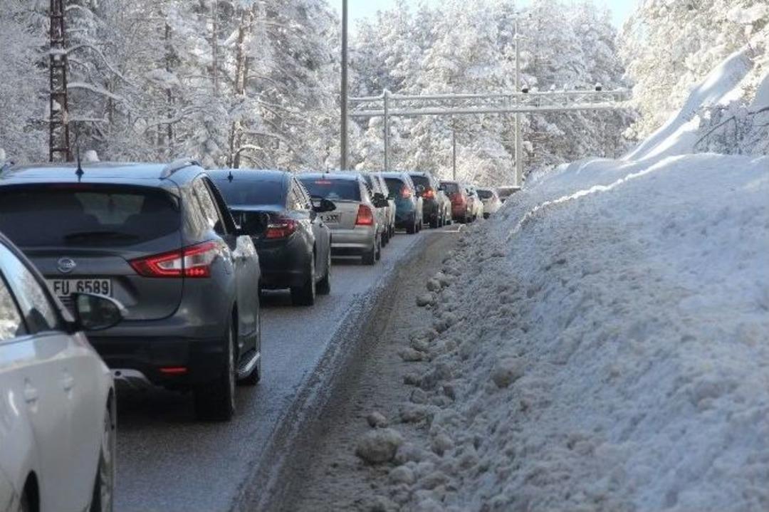 Abant&rsquo;ta S&ouml;mestr Yoğunluğu