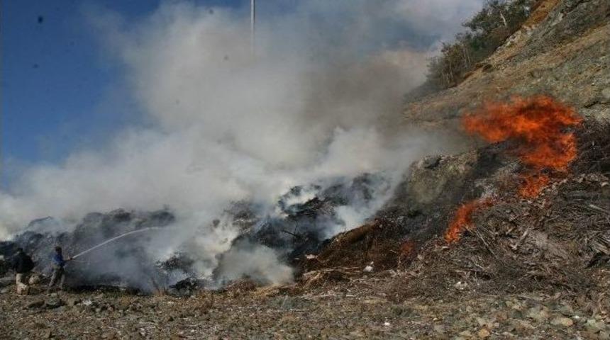Marmaris&rsquo;te Atık Yangını Korkuttu