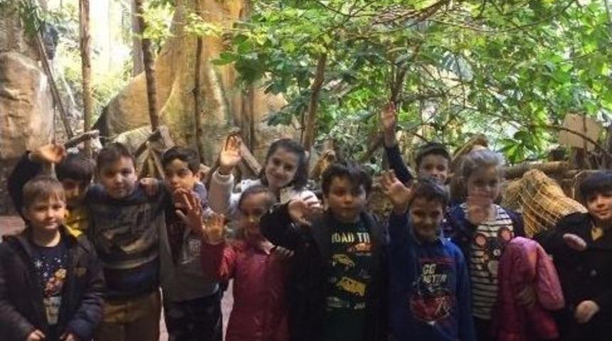 Serdivanlı &Ouml;ğrenciler İstanbul Akvaryumu Gezdi