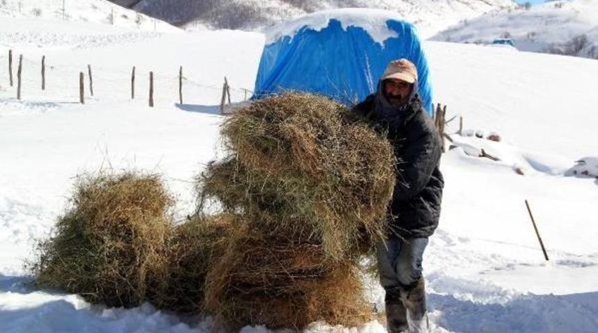 Kızağı &Ccedil;alınan K&ouml;yl&uuml;ler, Hayvanlar I&ccedil;in Otları Sırtlarında Taşıyor