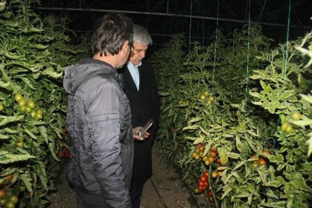 Başkan &Ccedil;alık &Ccedil;ift&ccedil;ilerle Seralarda Don N&ouml;beti Tuttu