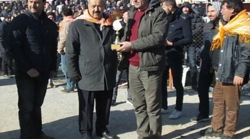 Burhaniye&rsquo;de Deve G&uuml;reşlerini 10 Bin Kişi İzledi