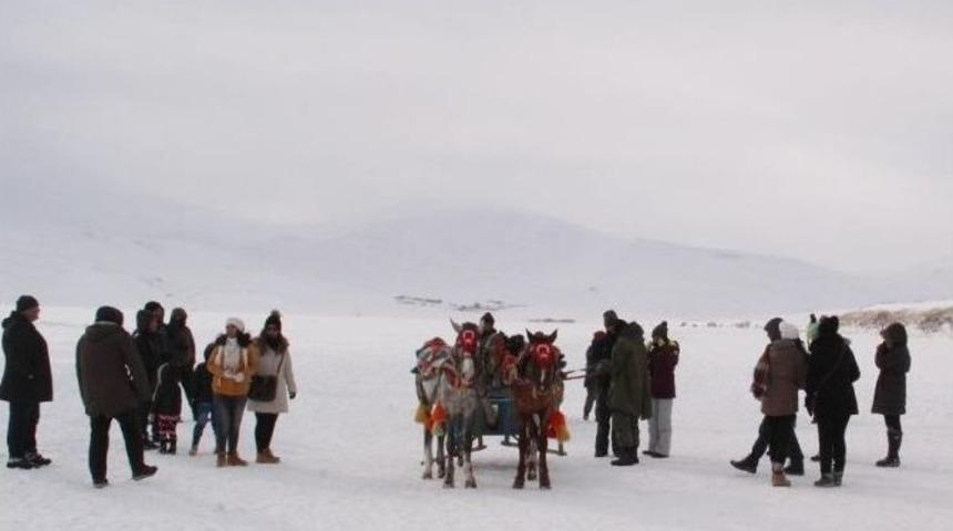 Buz Tutan Çıldır Gölü Üzerinde Atlı Kızak Keyfi
