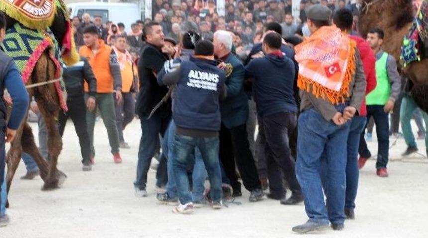 Develer G&uuml;reşti, Sahipleri Kavga Etti