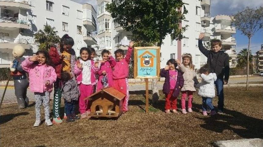 Kedi Evleri &Ccedil;ocukların Akınına Uğradı