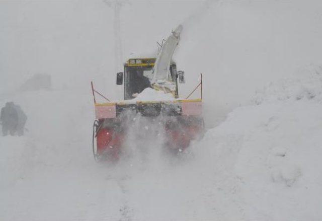 Bitlis'te 205 Köy Yolu Ulaşıma Açıldı