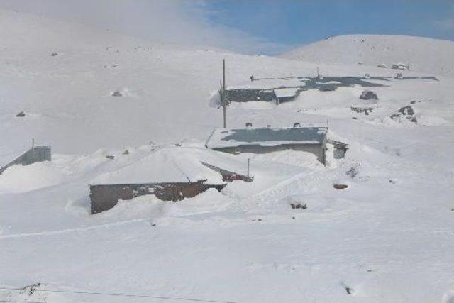 Çığ Düştü, Karlıova- Yedisu Yolu Kapandı