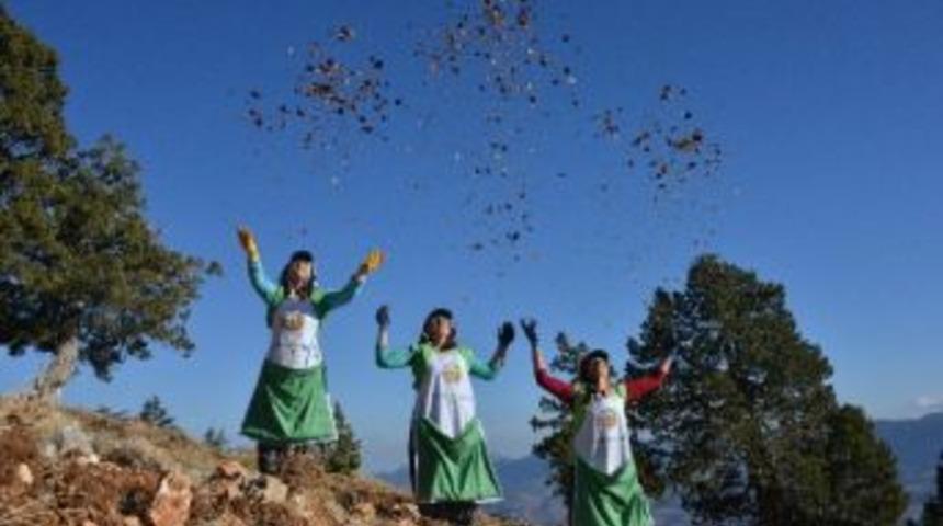 Mersin&rsquo;de 790 Ton Sedir Tohumu Toprakla Buluştu