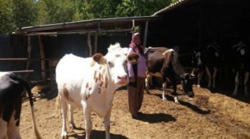 K&uuml;tahya&rsquo;da Orman K&ouml;yl&uuml;s&uuml;n&uuml;n Y&uuml;z&uuml; Ork&ouml;y Projesi İle G&uuml;l&uuml;yor