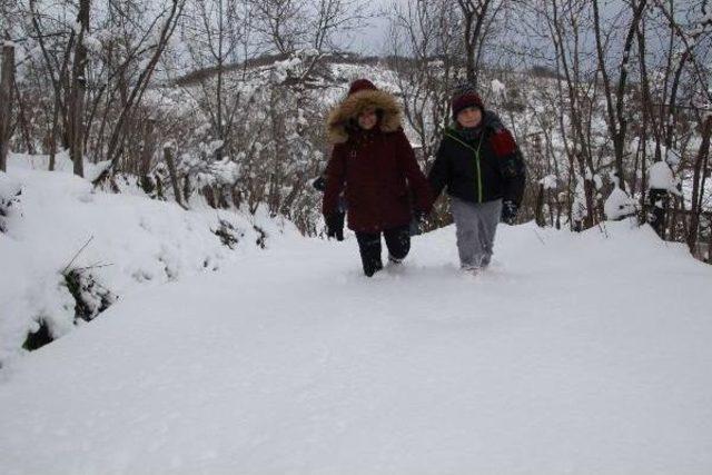 Ordu’Da 313 Mahalle Yolu Kardan Ulaşıma Kapandı